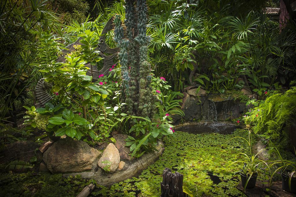 Pousada Fenix Pirenopolis Bagian luar foto
